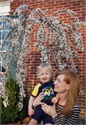 Trey_D50_DSC_0112