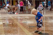 Trey_D50_DSC_0208