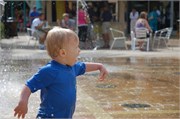 Trey_D50_DSC_0212