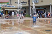 Trey_D50_DSC_0221