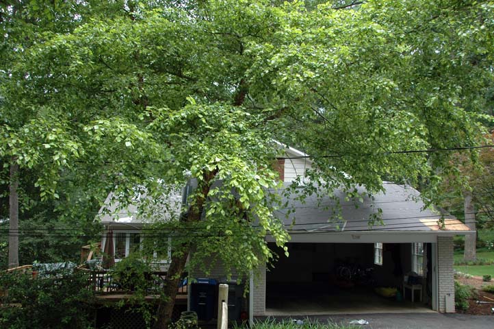 New Roof by Reeves, May 24, 201