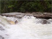 Chatooga_05282010_154