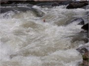 Chatooga_05282010_88