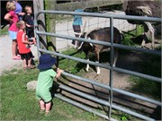 07012010_Louisville_85