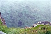 07272010A_Thurso_48