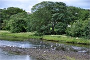 07272010A_Thurso_70