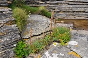 07272010B_Thurso_238