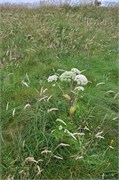 07272010B_Thurso_322