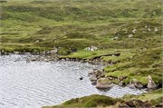 07282010A_Runavik_57