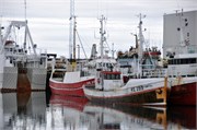 07302010A_Reykjavik_180
