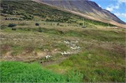 07312010B_Isafjordur_228
