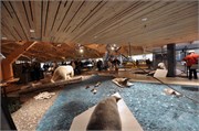 08042010B_Longyearbyen_59