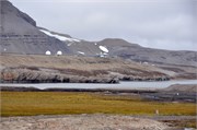 08062010A_NyAlesund_86