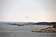 08112010A_Kristiansand_114