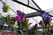 08142010A_Amsterdam_15
