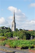 08242010A_Copenhagen_11