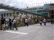 P7050038