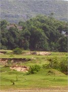 P7070054