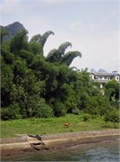 P7070071