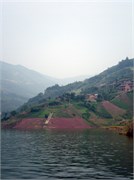 P7110291
