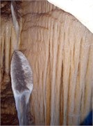 P7120320