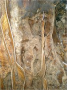 P7120324