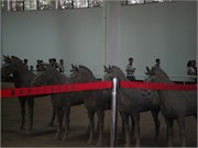 P7140411