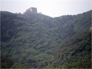 P7150429