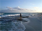 12142010_Mexico_ST8100_156