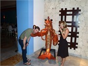 12142010_Mexico_ST8100_490