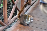 12142010_Mexico_D90_52