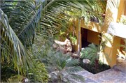 12142010_Mexico_D90_56