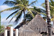 12142010_Mexico_D90_80