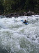 436_U_Gauley