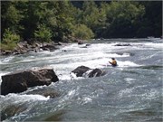 553_U_Gauley