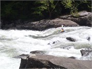 564_U_Gauley