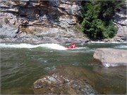 372_L_Gauley