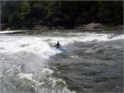 421_L_Gauley