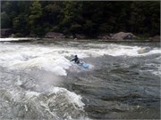 422_L_Gauley