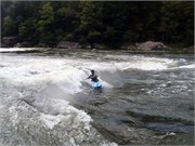 423_L_Gauley