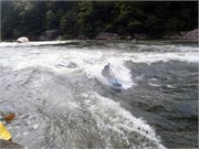 426_L_Gauley