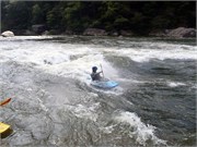 429_L_Gauley