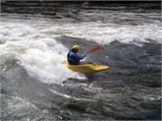 435_L_Gauley