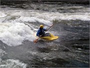 439_L_Gauley