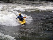 440_L_Gauley