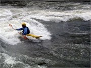 441_L_Gauley
