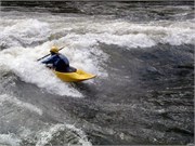 442_L_Gauley