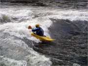 443_L_Gauley