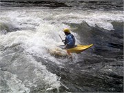444_L_Gauley