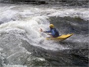 445_L_Gauley